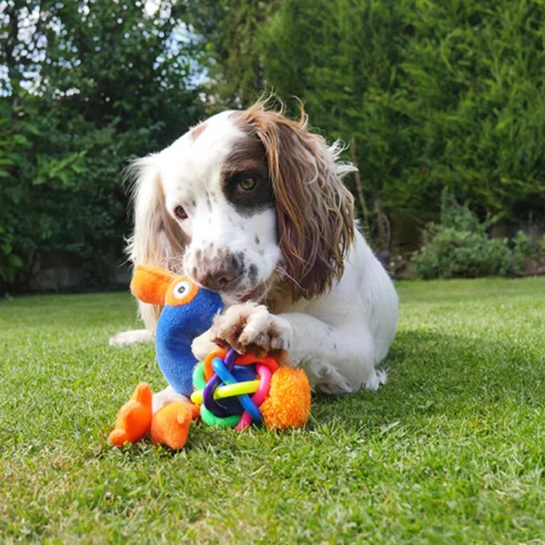 Dog Toy Flamingo Plush with Rubber ball